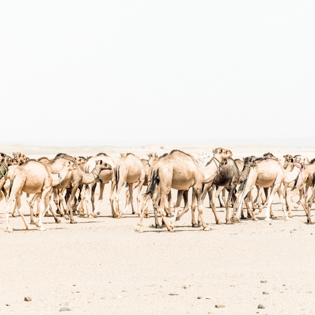 MARROCOS PÁSCOA
