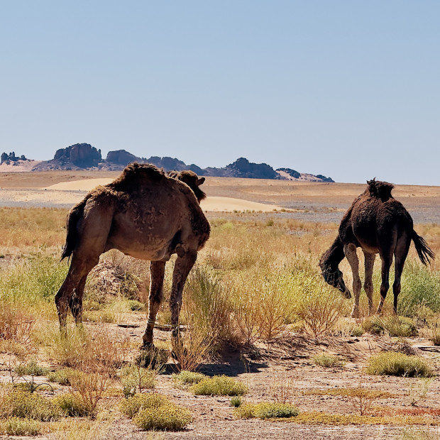 MARROCOS ESPECIAL MERZOUGA